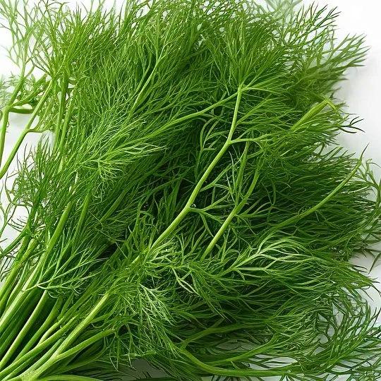 Укроп Салют на развес, Агролиния