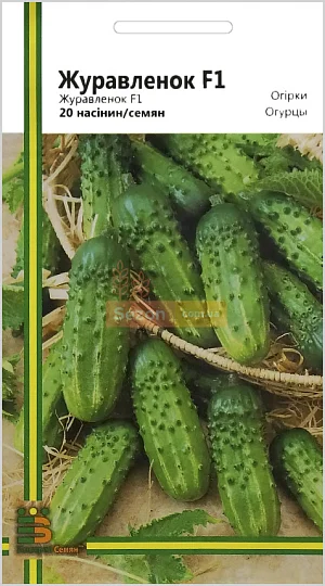 Огірок Журавленок F1 20 насіння бджолозапильний ранній, Імперія Насіння - Фото 2