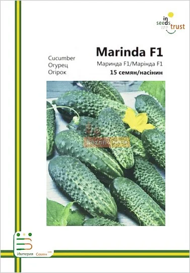 Огурец Маринда F1 партенокарпический среднеранний 15 семян европакет, Империя Семян