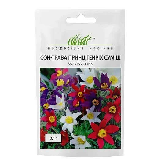 Сон-трава Принц Генрих 0,1 г смесь, Hем Zaden