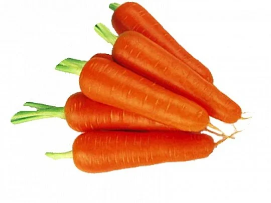 Морковь Абако F1 1000000 семян ранняя, Seminis