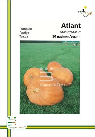 Тыква Атлант 10 семян европакет, Империя Семян - Фото 2