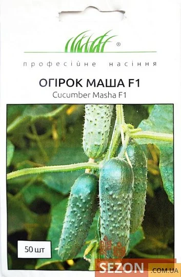 Огурец Маша F1 50 семян партенокарпический ранний, Seminis - Фото 2