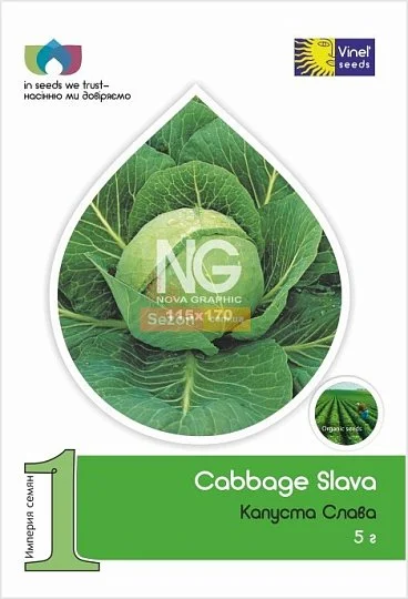 Капуста Слава 5 г белокочанная среднеспелая, Vinel' Seeds