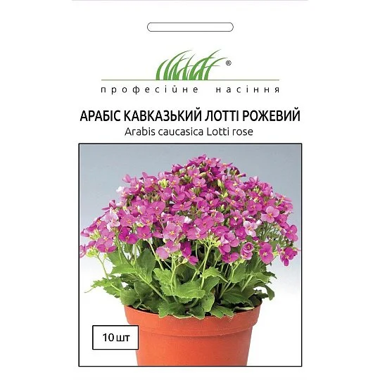 Арабис кавказский Лотти 10 дражированных семян розовый, Pan American flowers