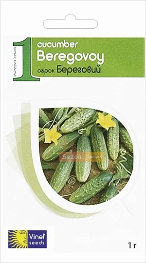 Огірок Береговий 1 г бджолозапильний середньоранній, Vinel' Seeds