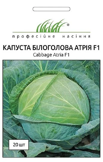 Капуста Атрия F1 20 семян белокочанная среднепоздняя, Seminis - Фото 2