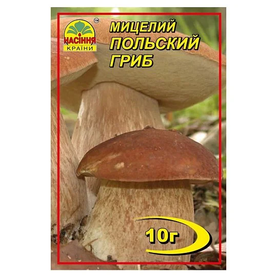 Мицелий  Польский гриб 10 г, Насіння Країни