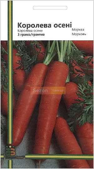 Морковь Королева осени 3 г поздняя, Империя Семян - Фото 2