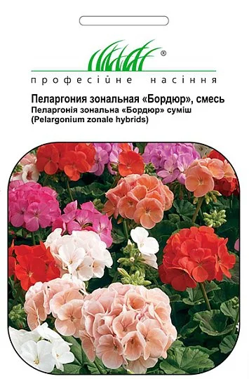 Пеларгония садовая Бордюр 10 семян смесь, Hем Zaden