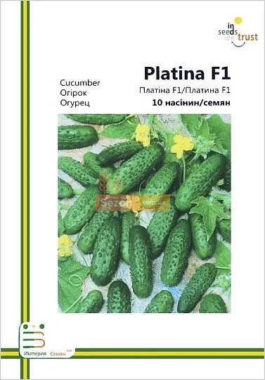 Огурец Платина F1 партенокарпический ранний 10 семян европакет, Империя Семян - Фото 2