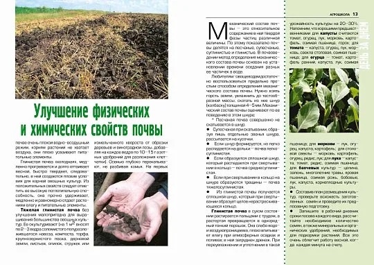 Агрошкола: азы для начинающих - книга по овощеводству - Фото 4