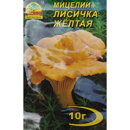Міцелій Лисичка Жовта 10 г, Насіння України - Фото 2