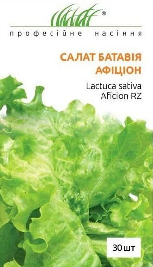 Салат Афицион 30 семян батавия, Rijk Zvaan