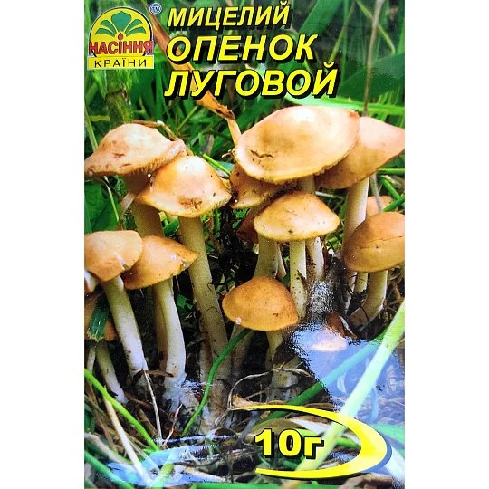 Міцелій Опенька лугового 10 г, Насіння України - Фото 2