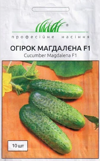 Огурец Магдалена F1 10 семян партенокарпический ранний, Seminis