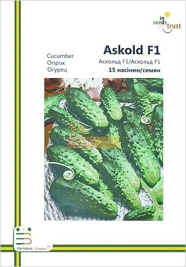Огурец Аскольд F1 партенокарпический 15 семян европакет, Империя Семян - Фото 2
