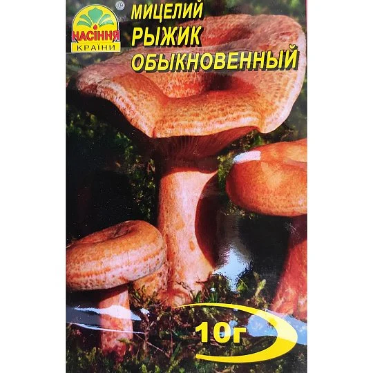 Мицелий Рыжик Обыкновенный 10 г, Насіння Країни - Фото 2