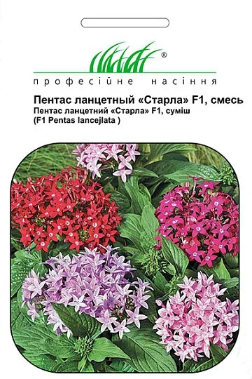 Пентас ланцетний Старла F1 10 насінин, Hем Zaden