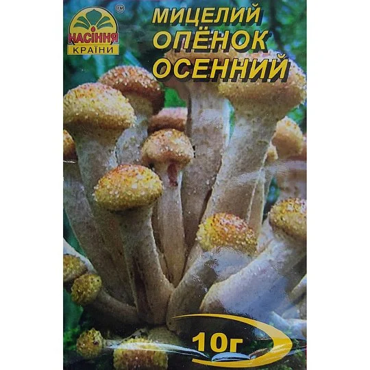 Міцелій Опенок Осінній 10 г, Насіння України - Фото 2