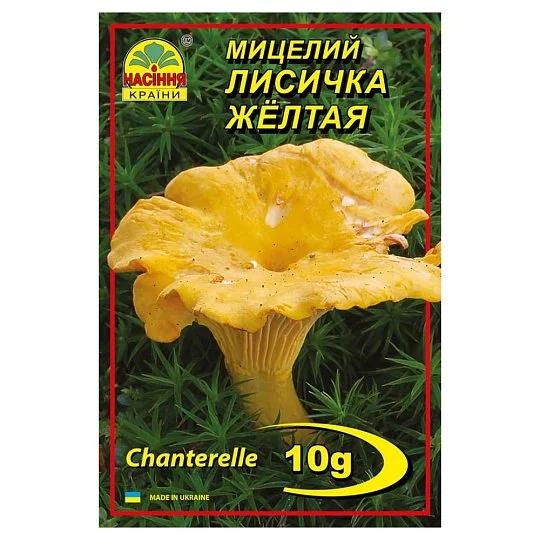 Міцелій Лисичка Жовта 10 г, Насіння України