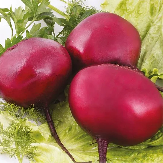 Свекла Бордо-237 на развес, Агролиния