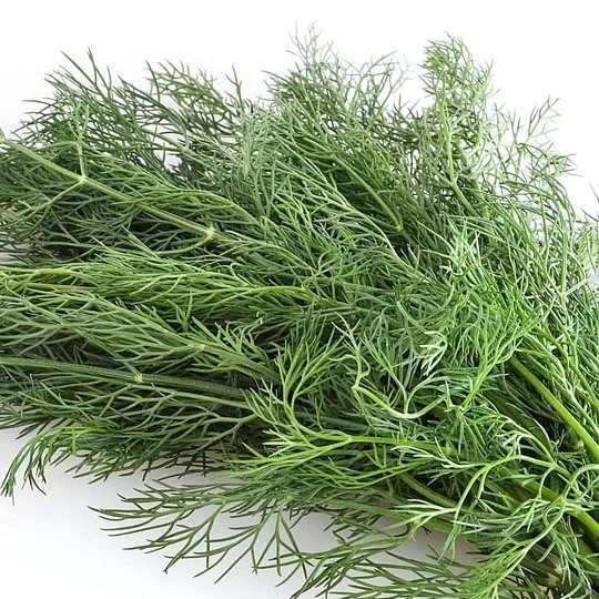 Кріп Татран на вагу, Агролінія