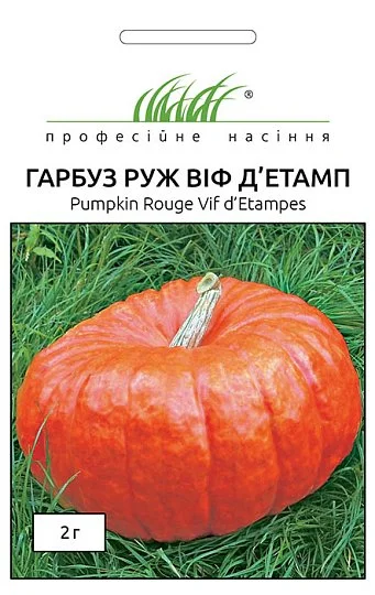 Гарбуз Руж Виф Де тамп 10 шт великоплідна середньостигла, Tezier - Фото 2