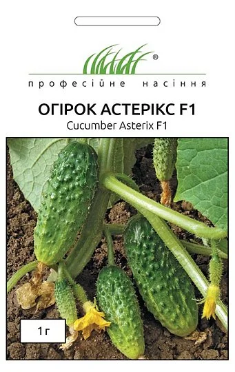Огурец Астерикс F1 50 шт пчелоопыляемый ранний, Bejo Zaden