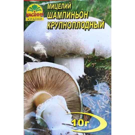Міцелій Шампіньйон Великоплідний 10 г, Насіння України - Фото 2