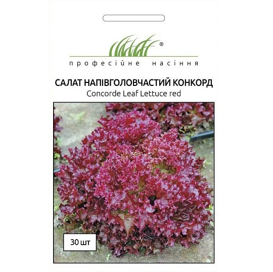 Салат Конкорд червоний Лолло Россо 30 насінин, Riik Zvaan