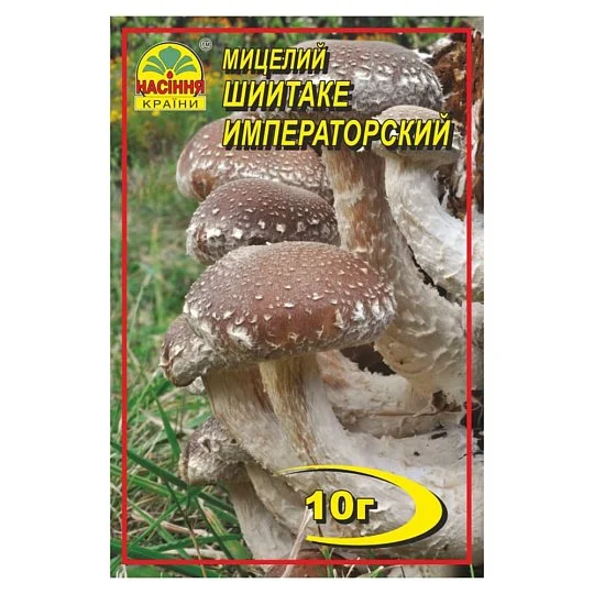 Міцелій Шіїтаке 10 г, Насіння України