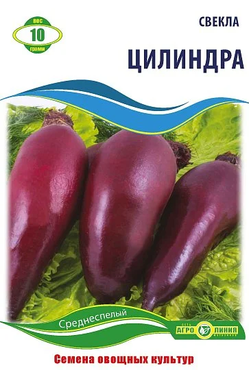 Буряк Циліндра 10 г, Агролінія - Фото 2