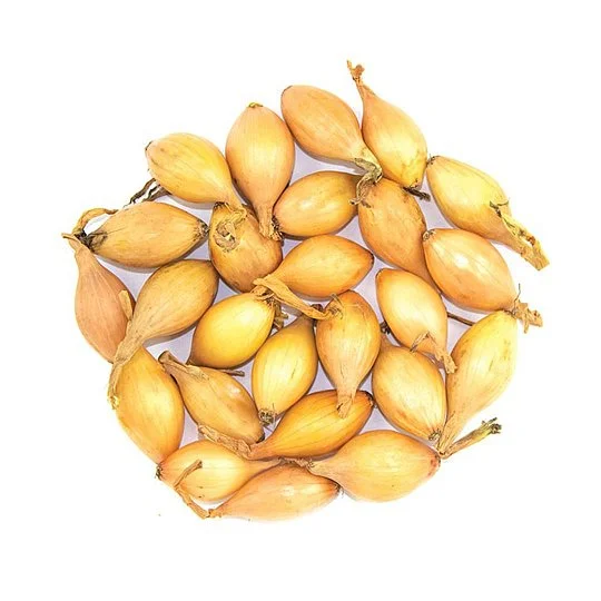 Центурион 500 г лук саженка арбажейка, Broer