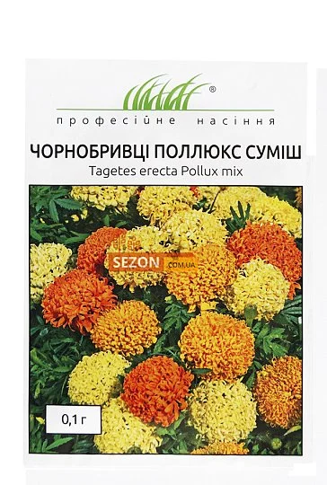 Чорнобривці прямостоячі Поллюкс 0,1 г суміш, Hem Zaden - Фото 2