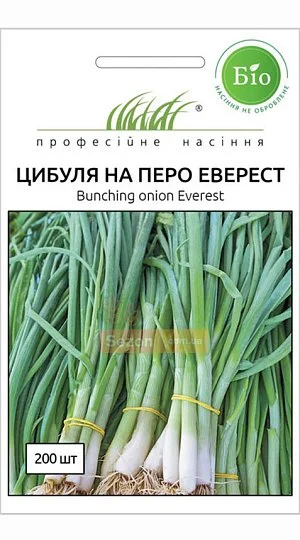 Лук Еверест 200 насінин ранній на перо, Wing Seed - Фото 2