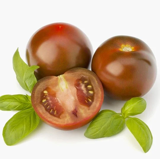 Томат KS 3900 F1 високорослий 8 насіння, Kitano Seeds - Фото 2