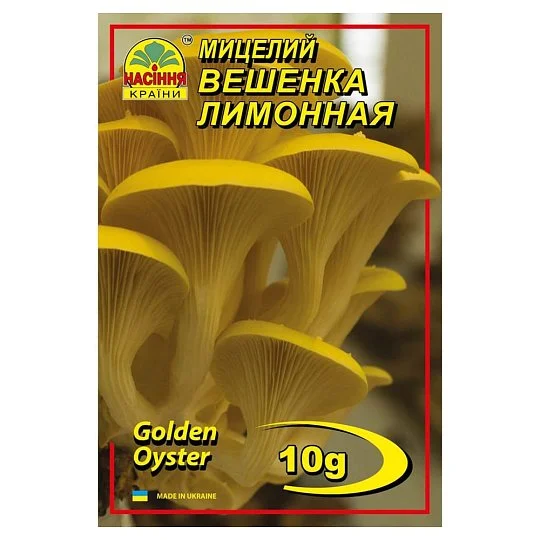 Міцелій Глива лимонна 10 г, Насіння України