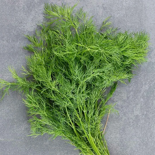 Кріп Амброзія на вагу, Агролінія