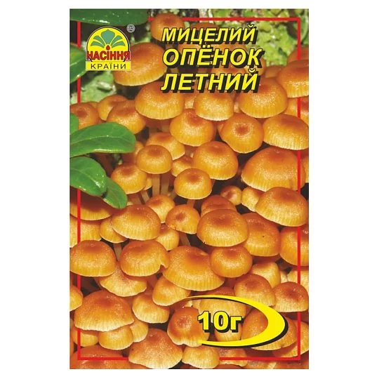 Міцелій Опенок літній 10 г, Насіння України