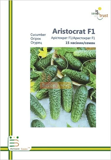 Огурец Аристократ F1 партенокарпический 15 семян европакет, Империя Семян - Фото 2