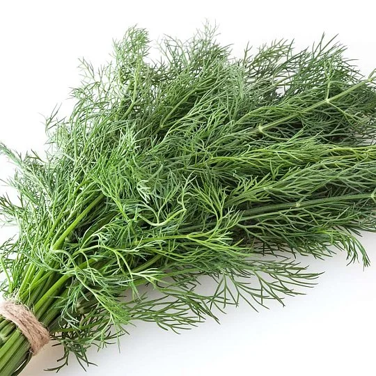 Кріп Алігатор на вагу, Агролінія