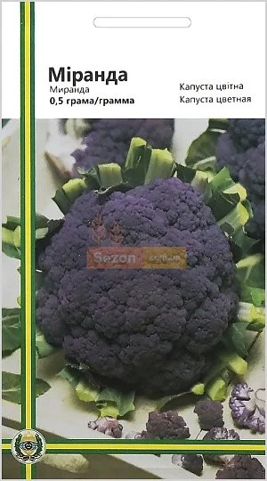 Капуста Миранда 0,5г цветная фиолетовая, Империя Семян - Фото 2