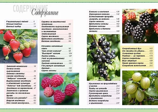 Урожайный ягодник: практическое пособие - Фото 3